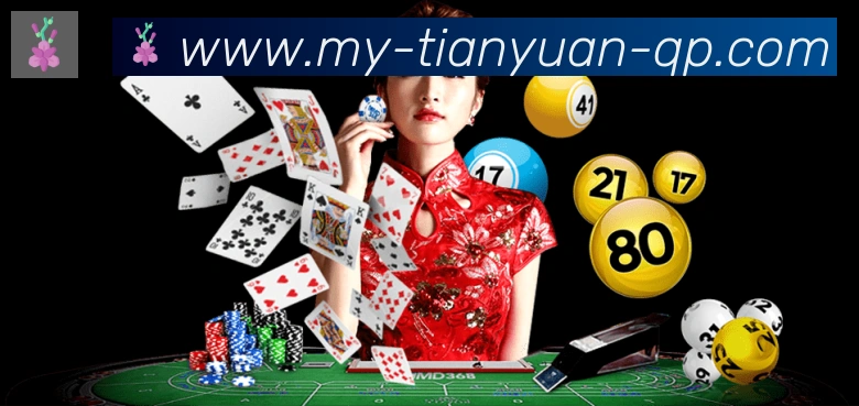 天元棋牌荣誉
